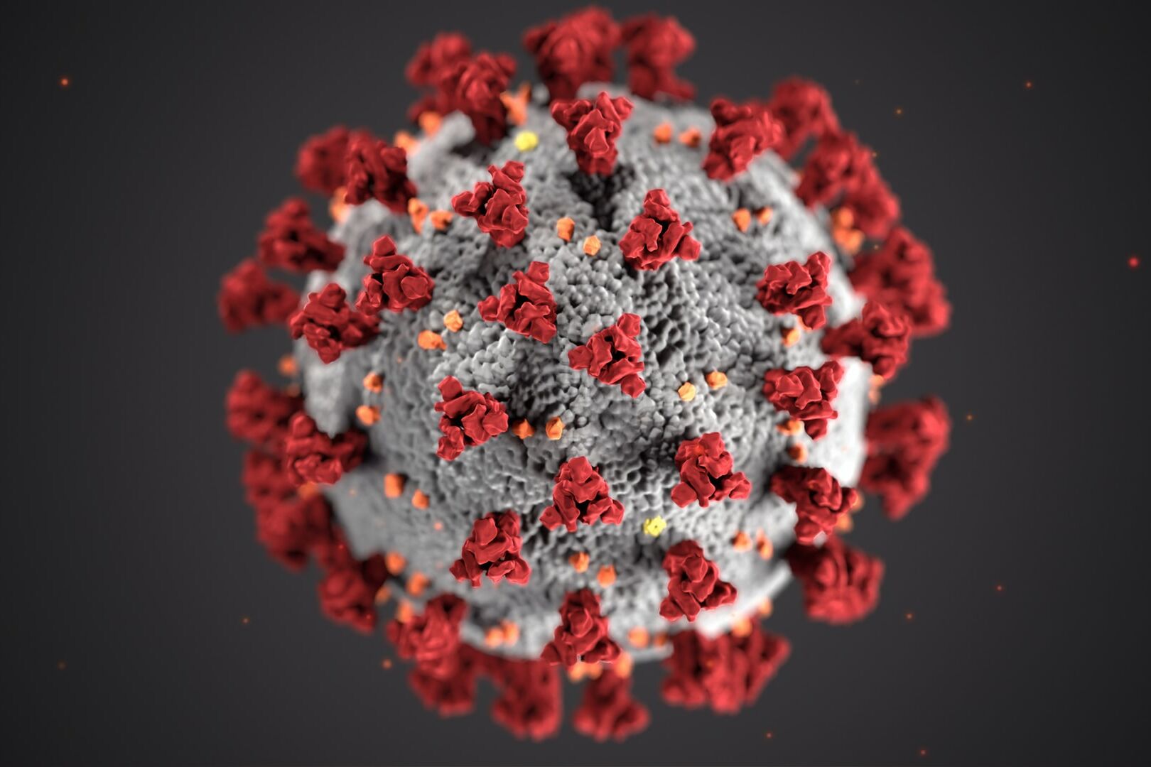 coronavirus, virus, COVID, Covid-19,