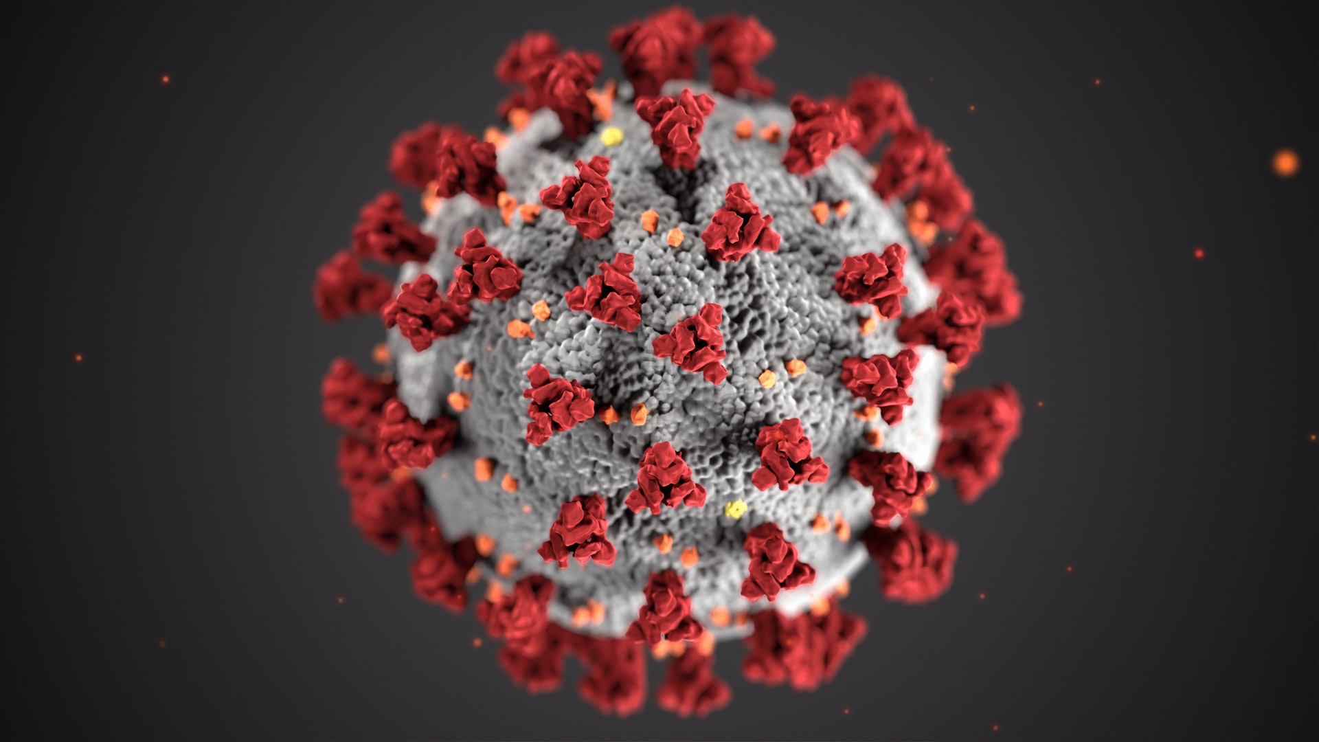 coronavirus, virus, COVID, Covid-19,