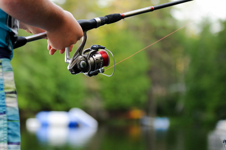 fishing, angling, fish