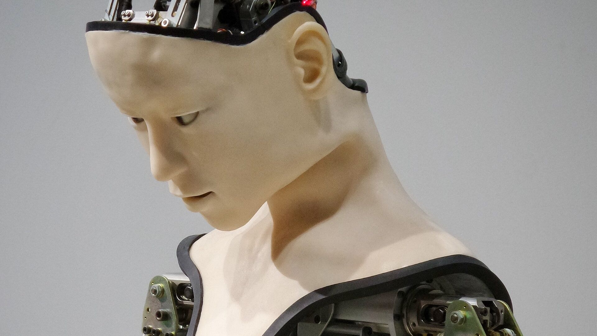 AI, robots, robotics
