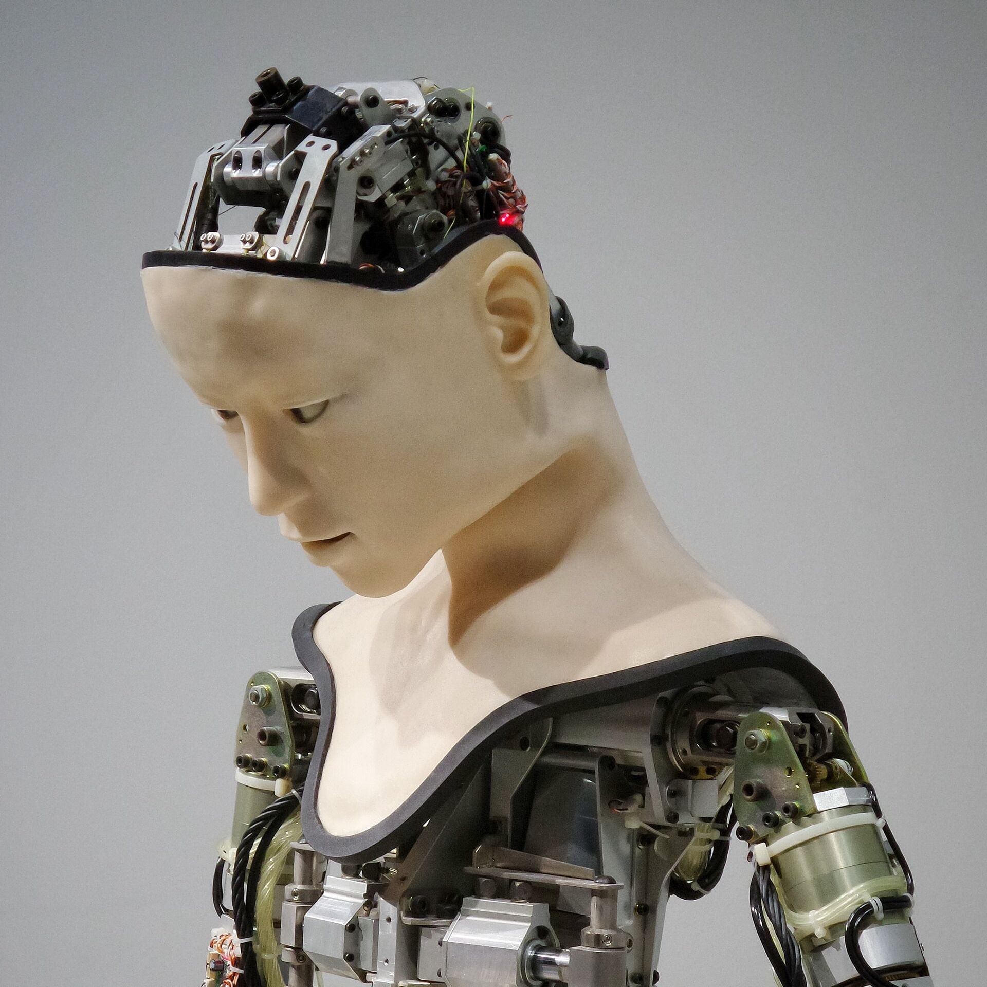 AI, robots, robotics