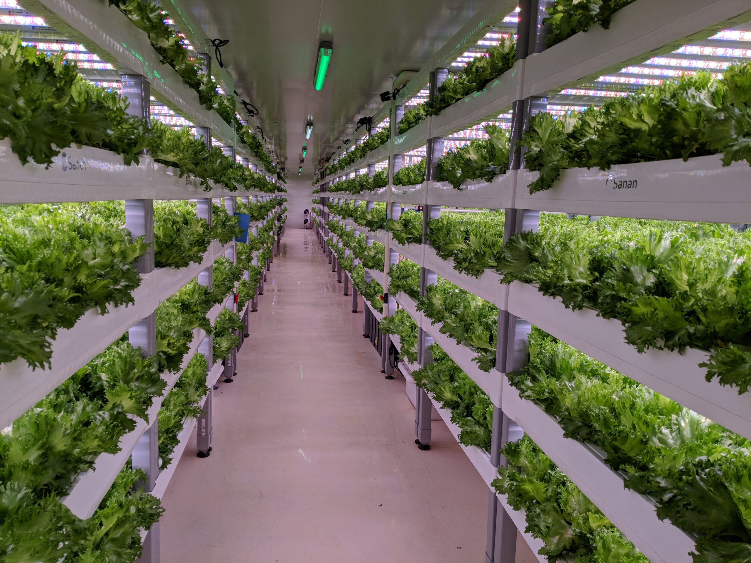 Vertical farming, food, vegetables, agritech, agrifood, 