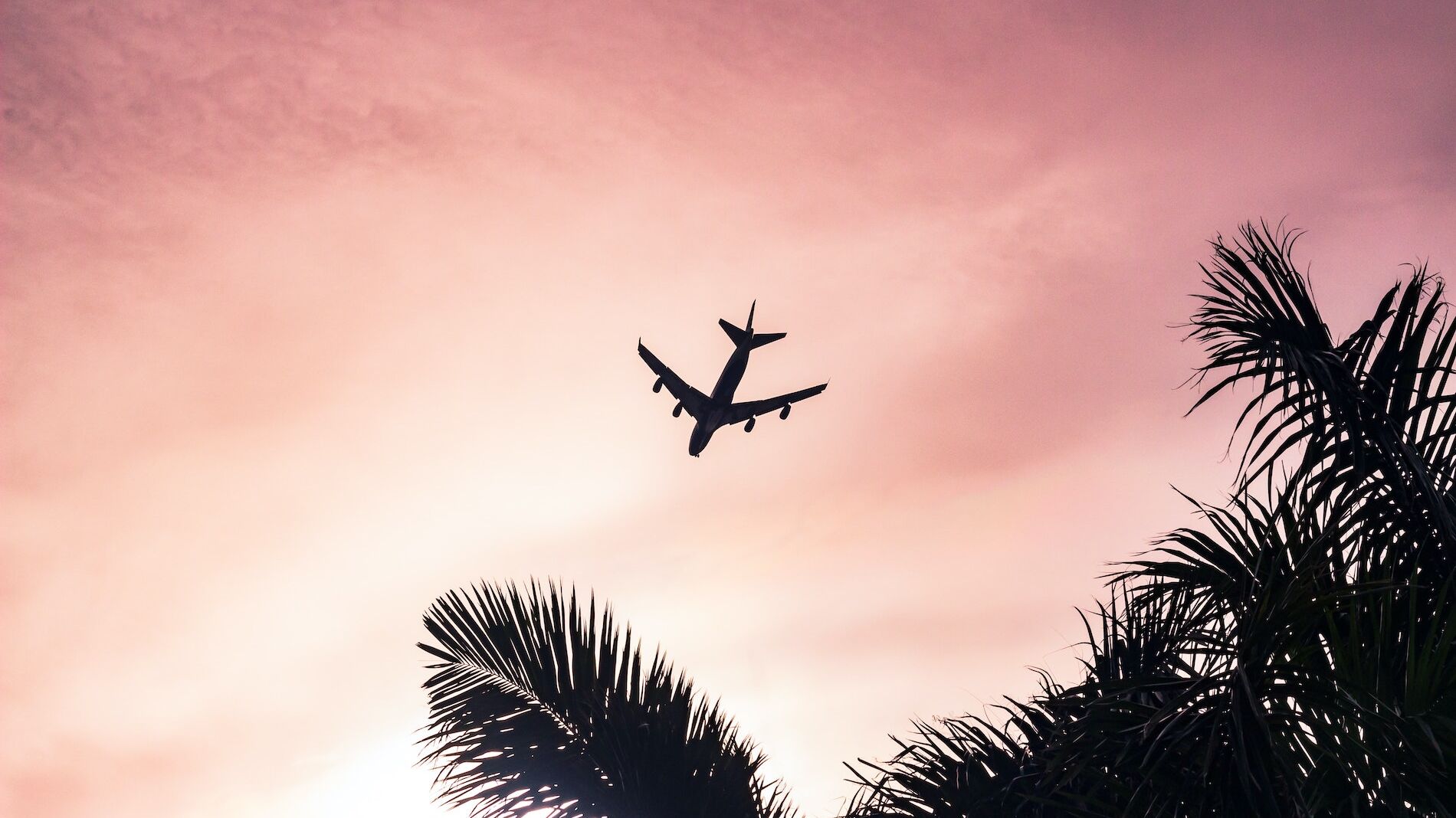 plane, travel, holiday