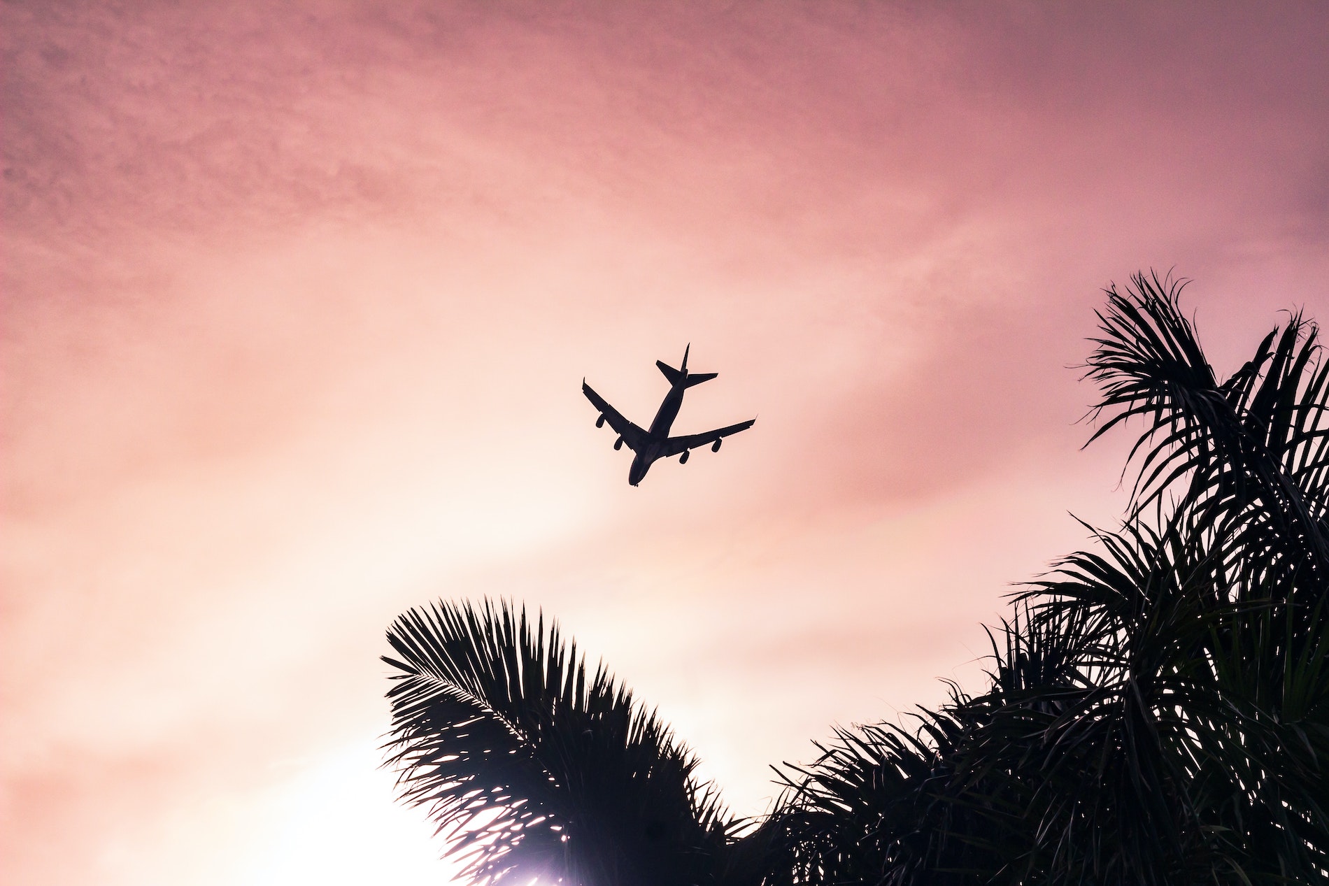 plane, travel, holiday