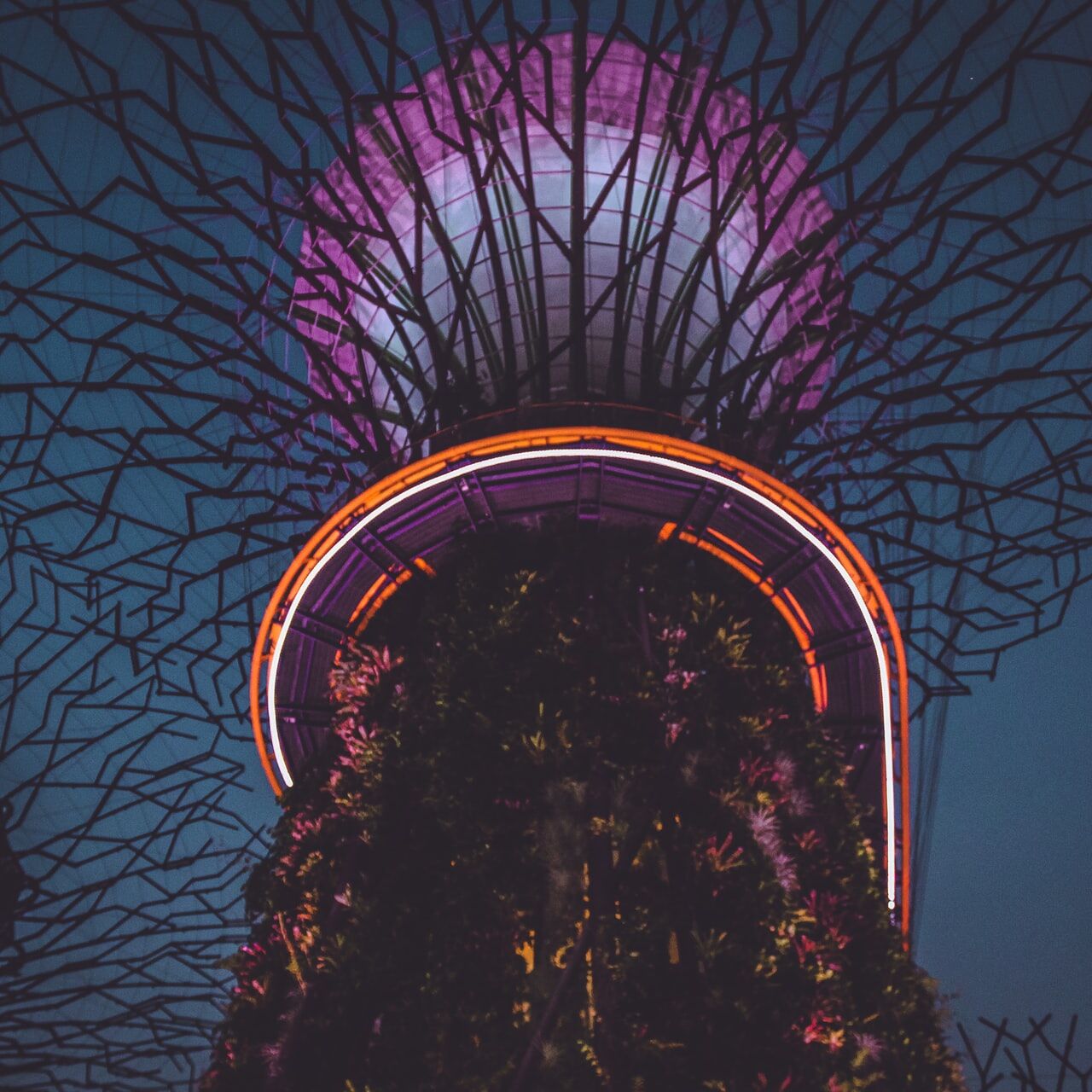 Singapore, neon, LEDs