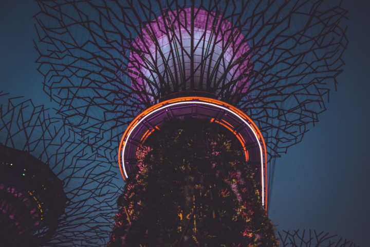 Singapore, neon, LEDs