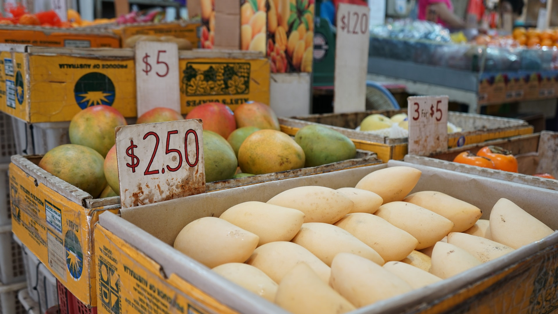 NULS Blockchain Archive - TNGlobal