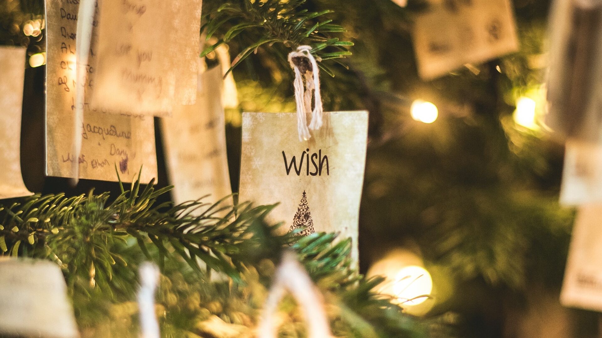 What do Founders want for Christmas?