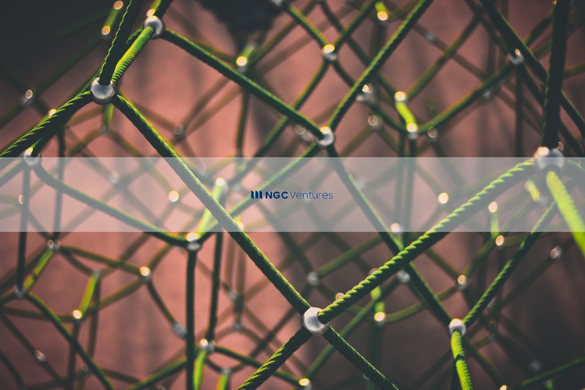 NGC Ventures launches $20M fund to invest in blockchain projects in Solana  ecosystem - TNGlobal