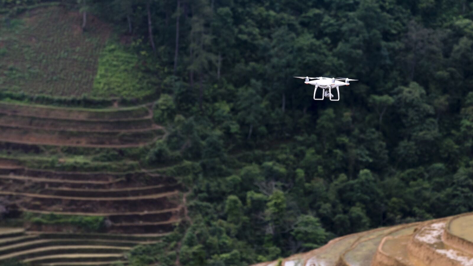 White Drone Flying Above Trees