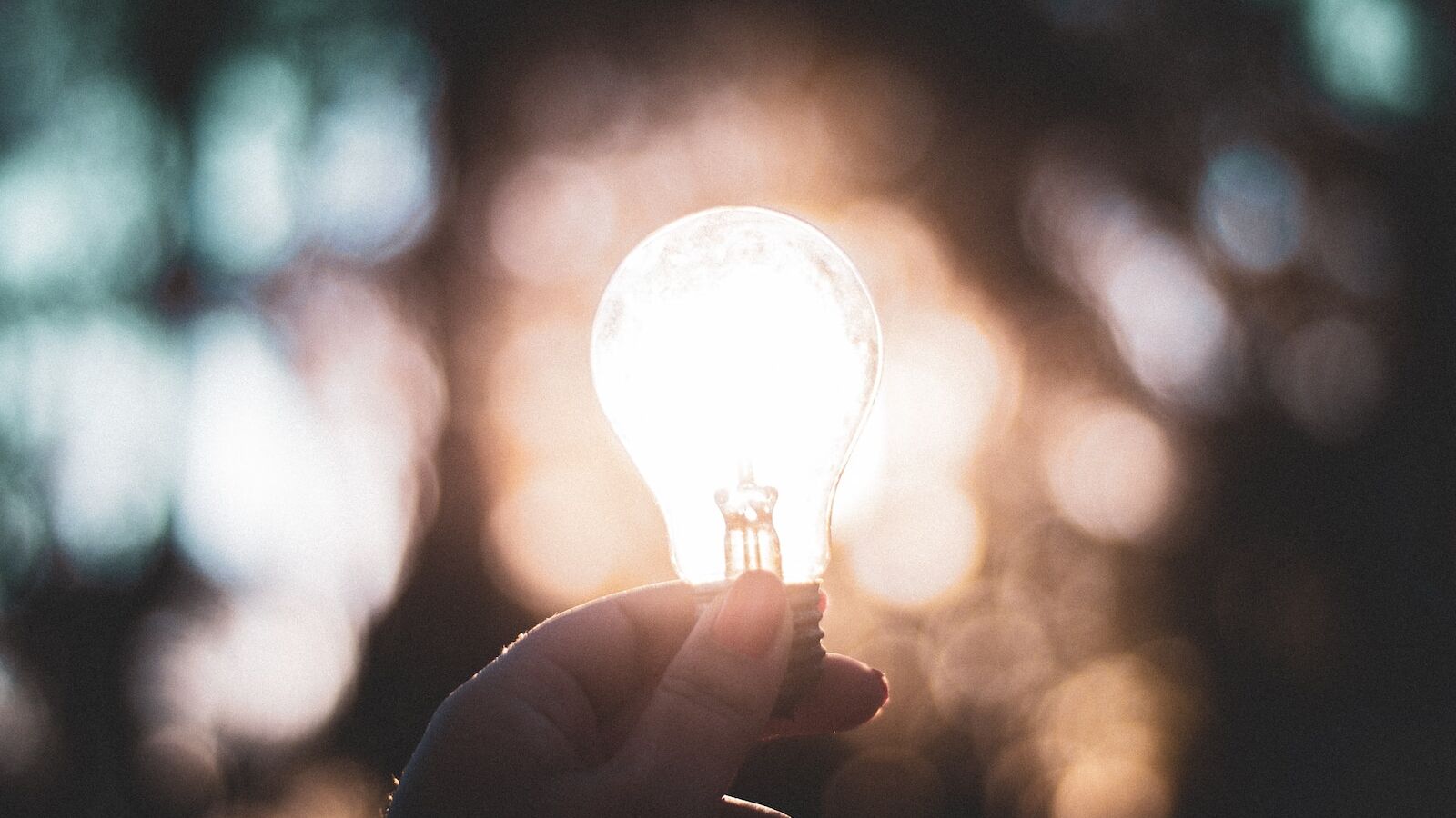 macro photography of person holding light bulb