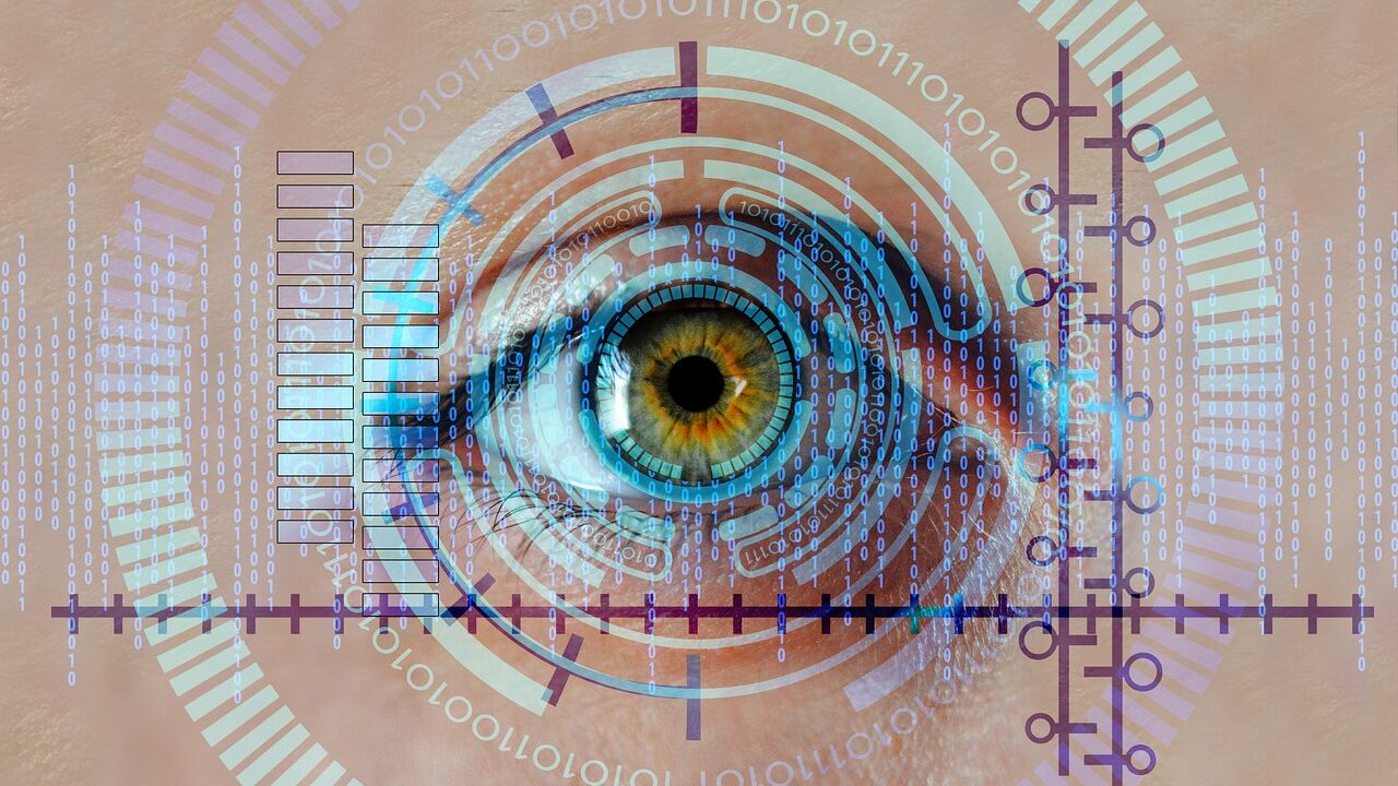 eye, iris, biometrics
