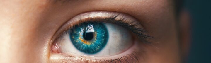 selective focus of blue-eyed person