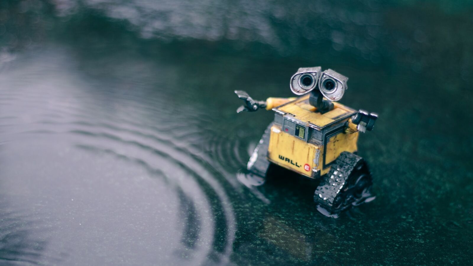 yellow and black robot toy