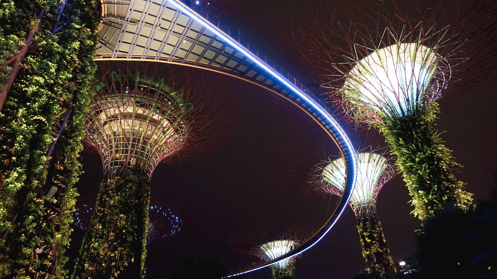 Supertree Grove, Singapore