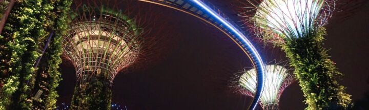 Supertree Grove, Singapore