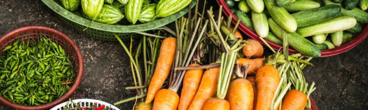 bundle of assorted vegetable lot