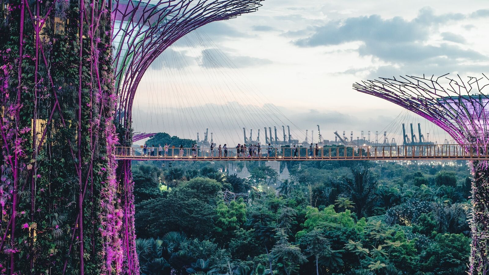 Gardens by the Bay, Singapore