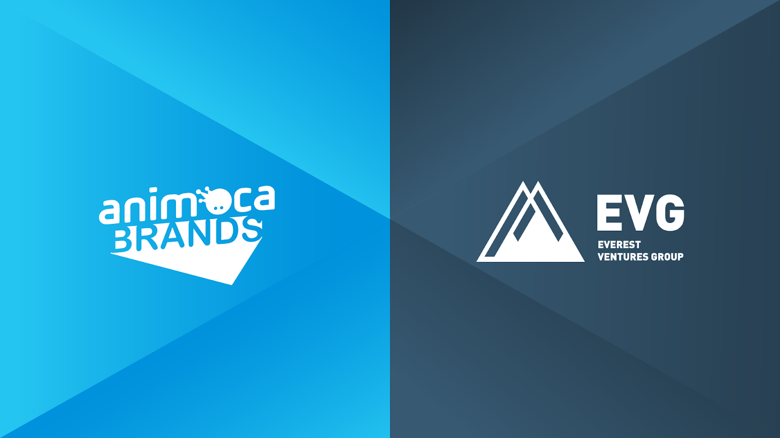 Animoca Brands, EVG strengthen strategic partnership with cross-investment  - TNGlobal