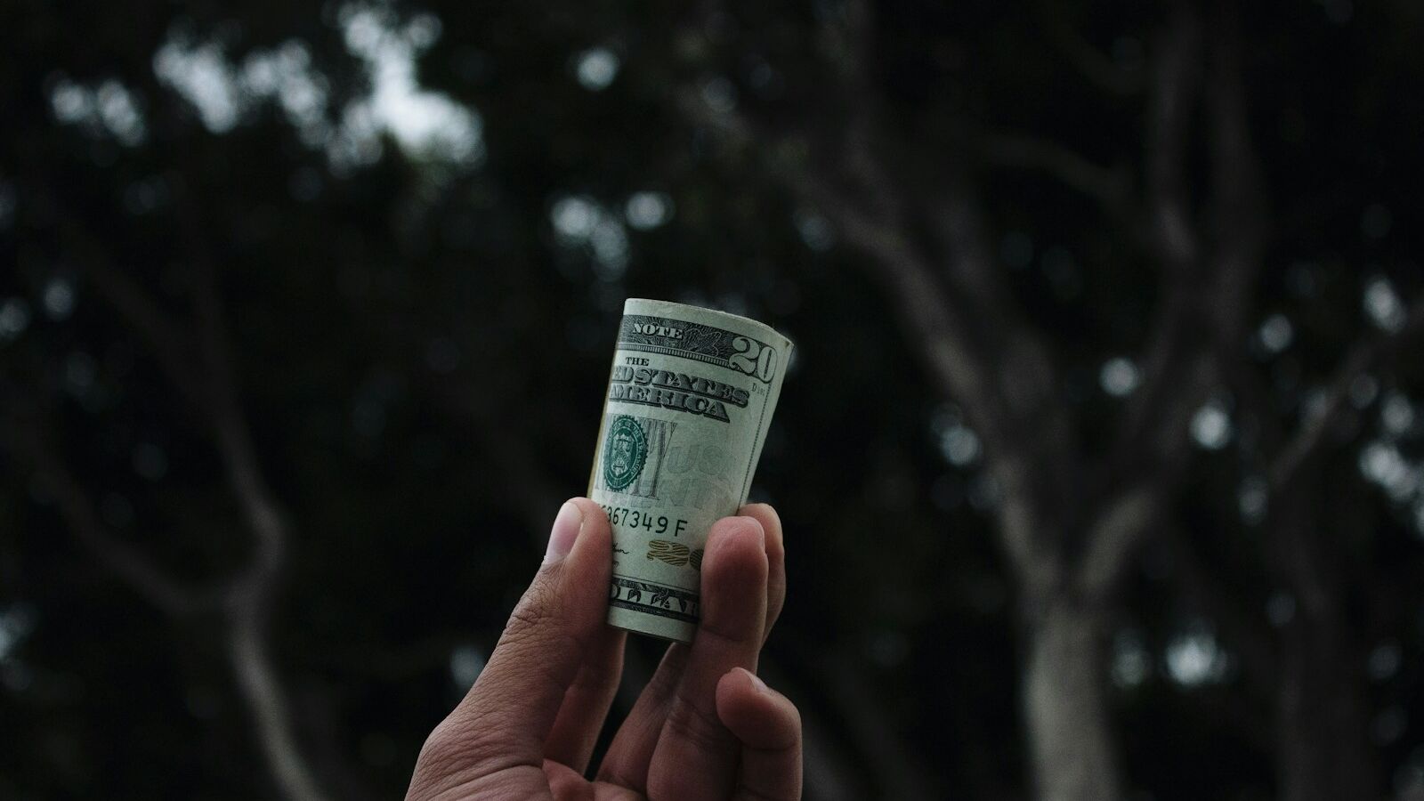 person holding U.S. dollar banknote