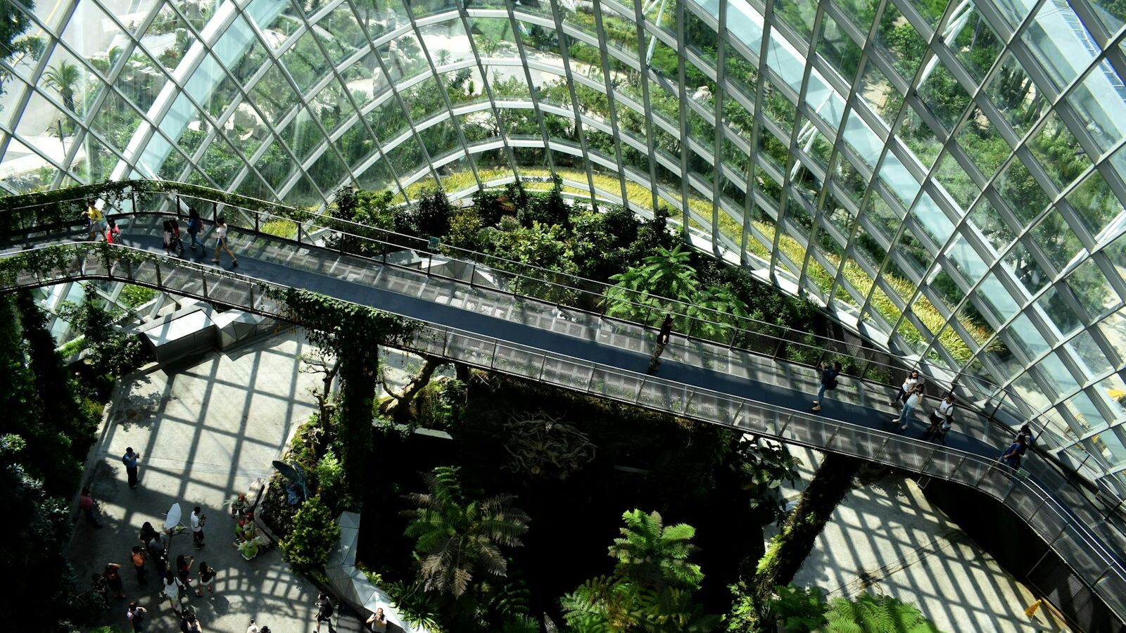 architectural photography of glass building