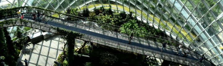 architectural photography of glass building