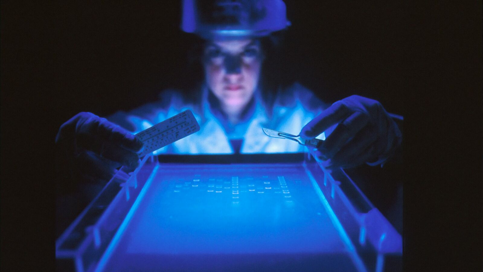 woman doing research while holding equipment