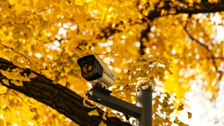 a security camera on a pole in front of a tree