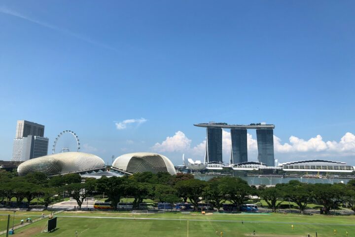 people walking on park during daytime