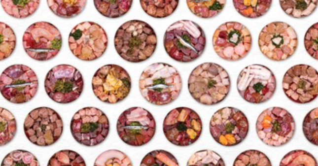 Singapore's BOM BOM secures $2.7M early stage investment led by Blueprint Ventures