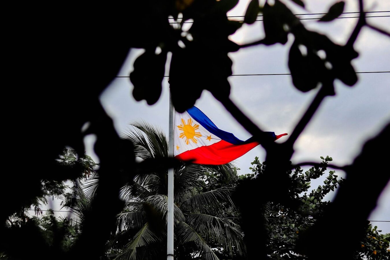 a flag on a pole