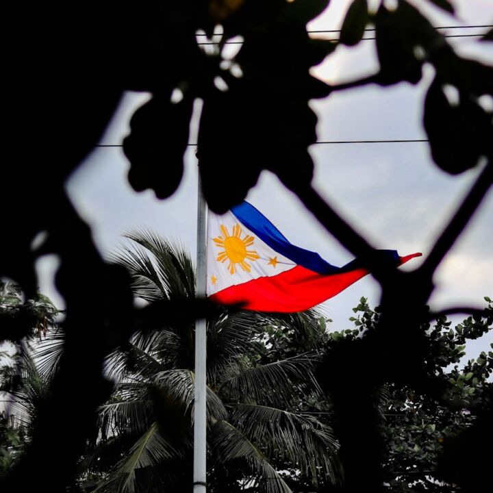 a flag on a pole