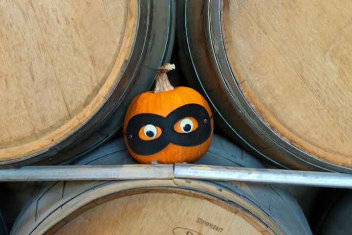 A small pumpkin wearing a black mask with eyes.