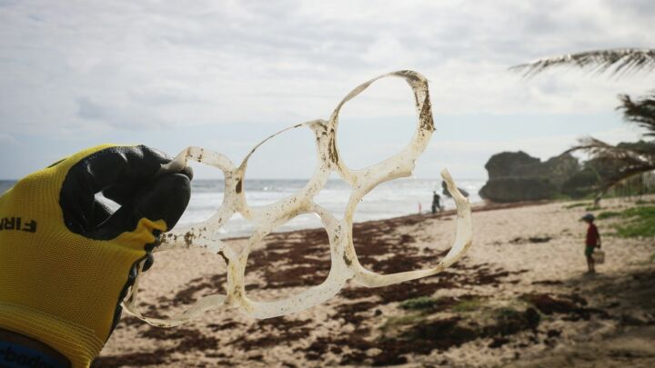 a person holding a kite on a beach