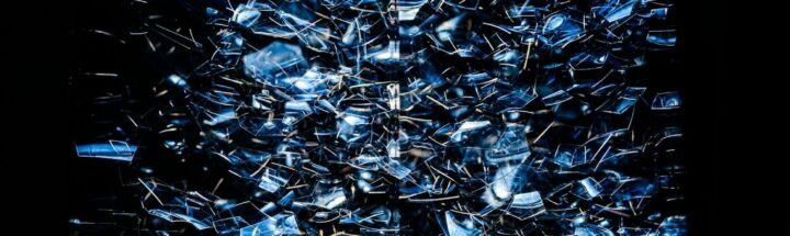 brown dried leaves on ground