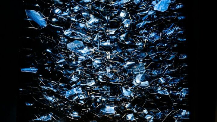 brown dried leaves on ground