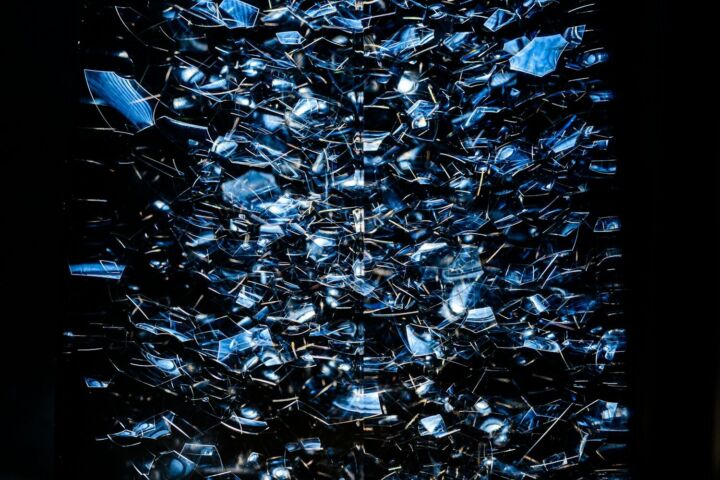 brown dried leaves on ground