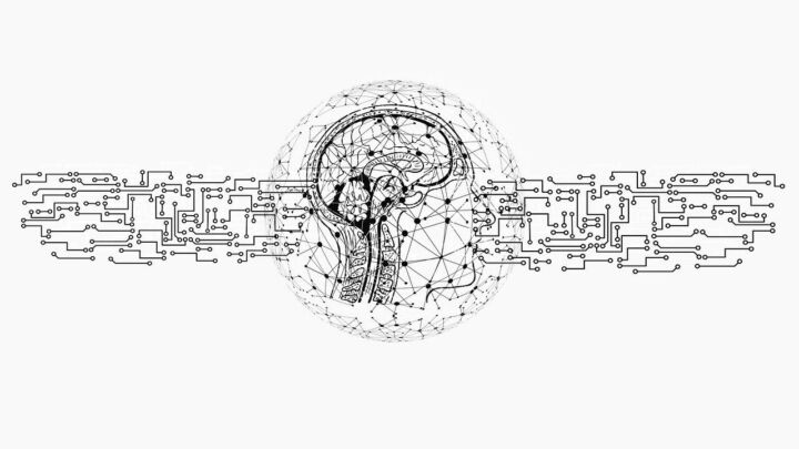 ai, artificial intelligence, intelligence, network, programming, tiktok, web, brain, computer science, technology, printed circuit board, information, data, data exchange, digital, communication, neuronal, social media, cut out