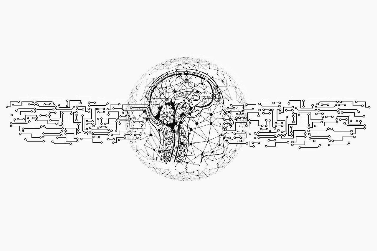 ai, artificial intelligence, intelligence, network, programming, tiktok, web, brain, computer science, technology, printed circuit board, information, data, data exchange, digital, communication, neuronal, social media, cut out