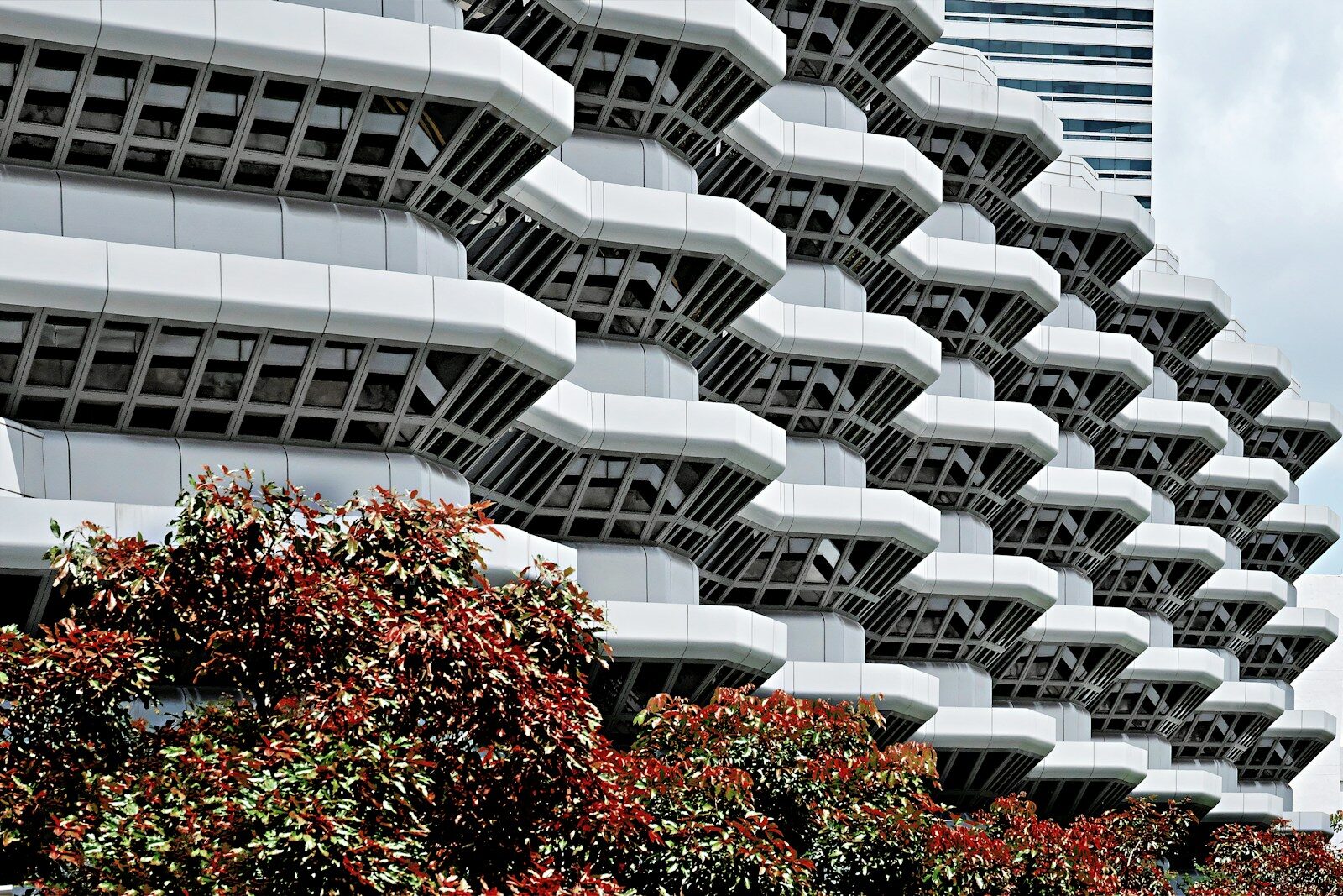 a building with many windows