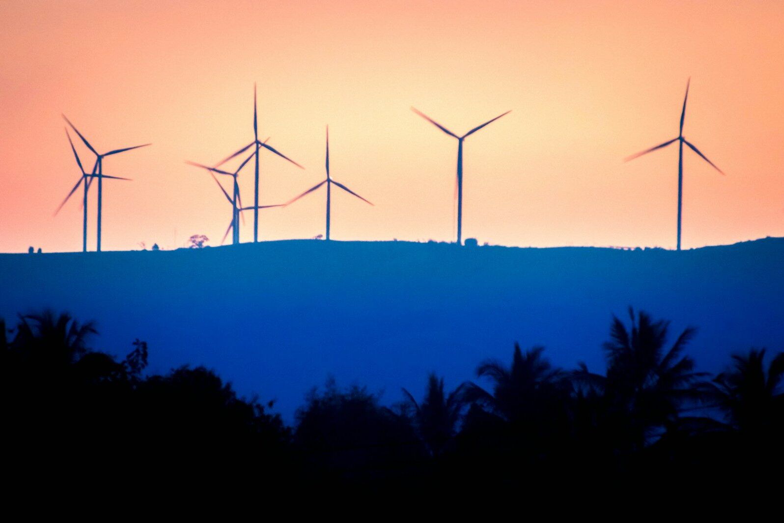 silhouette of wind turbines