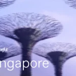 Dutch AI Company Wonderful Bolsters Singapore Hub with New General Manager Hire - TNGlobal (Picture 1)