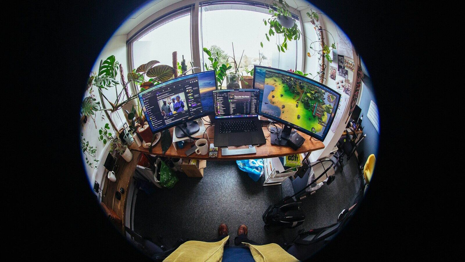 Desk with multiple computer monitors and plants