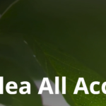 Temasek-Backed Azalea Opens $350 Million Evergreen Fund to Simplify Private Equity Access - TNGlobal (Picture 1)