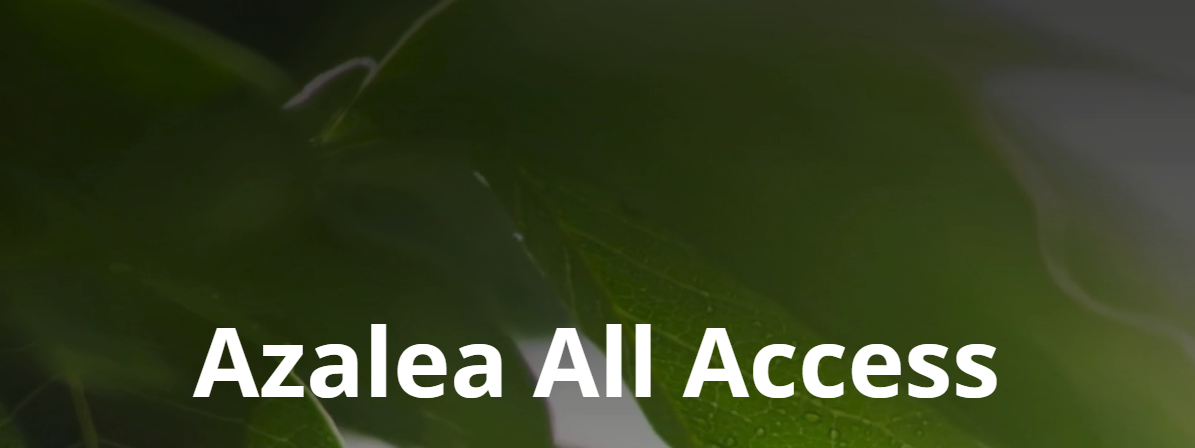 Temasek-Backed Azalea Opens $350 Million Evergreen Fund to Simplify Private Equity Access